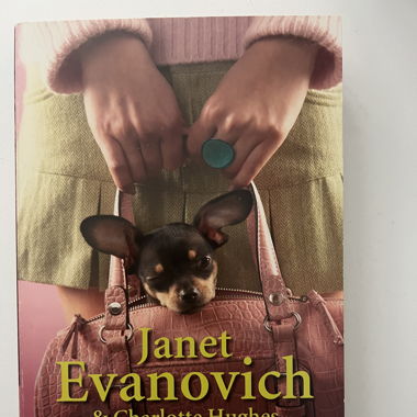 Buch 