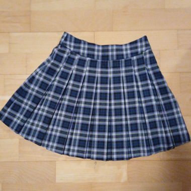 Pleated blue skirt