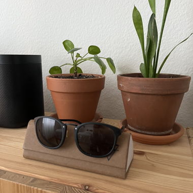 Holzweiler Sunglasses