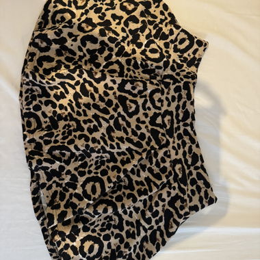 Leopard Rock
