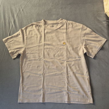Carhartt Chase T-shirt beige