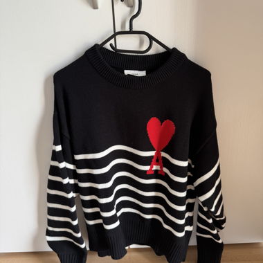 Pull Ami Paris