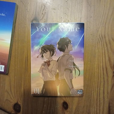Your Name 01 / manga