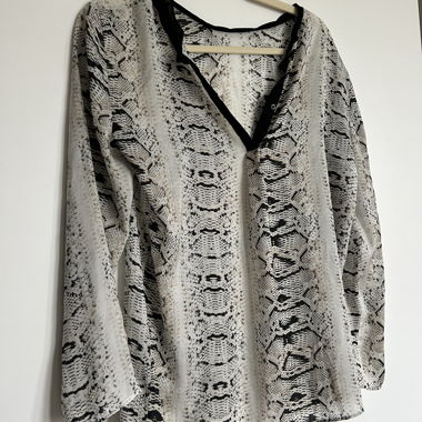 Zara Snake Print Blouse