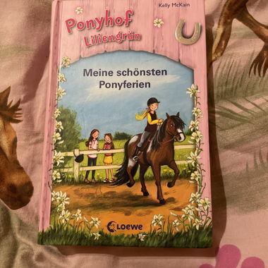 Ponyhof Liliengrün Buch 