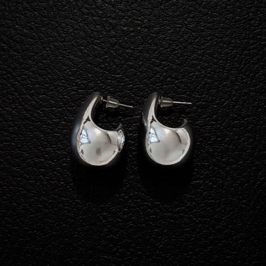 Boucles d'oreilles argentées