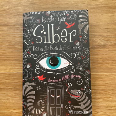 Book, Silver by Kerstin Gier