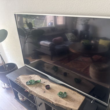 Fernseher