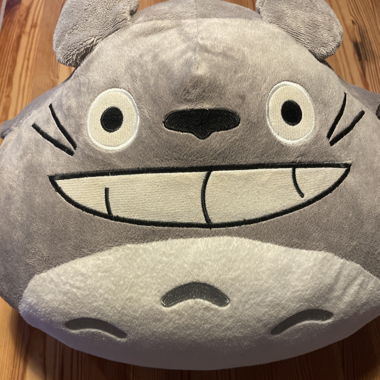 Totoro handwarmer - ghibli
