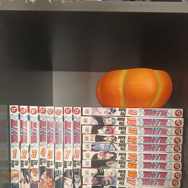 Bleach Manga 1-19