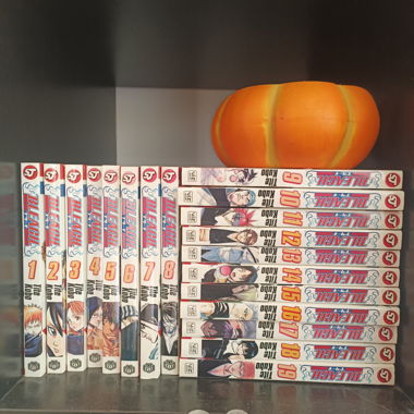 Bleach Manga 1-19
