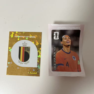 Panini FIFA World Cup Cards bundle