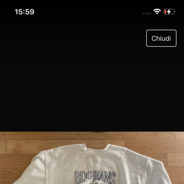 white BDG sweater
