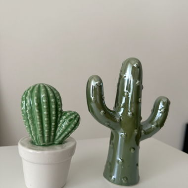 Cactus decorative figurines