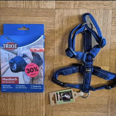 Set cani: Stivali*Imbracatura*Museruola*Collare LED