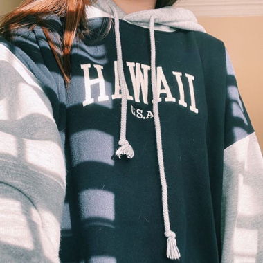 brandy melville hawaii hoodie💕