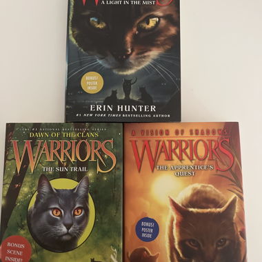 Warriors - Warrior Cats Buchtrilogie