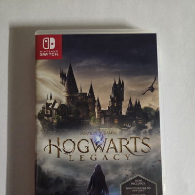 Gioco Switch Hogwarts Legacy