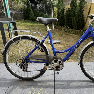 City Bike Leopard