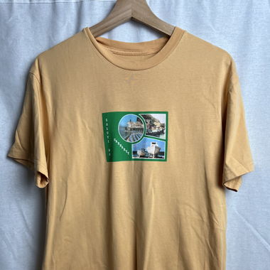 T-shirt Carhartt orange vintage 