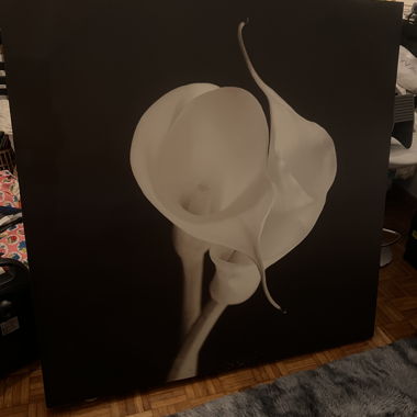Image d’orchidées sur toile