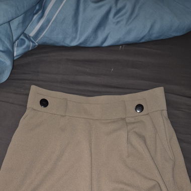 Elegante Shorts