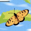 mayanhabi