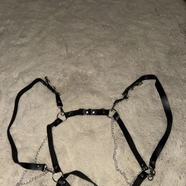 Harnais ceinture 