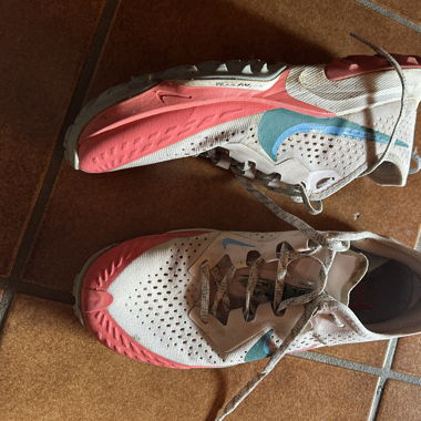 Nike chaussures de trail