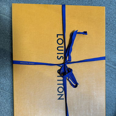 Louis Vuitton Karton mit Tasche 