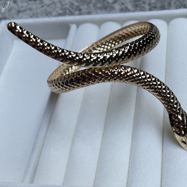New Snake Bracalet