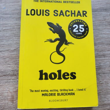 Book "Holes"