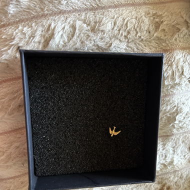 Piercing hirondelle 