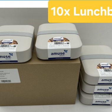 Lot de 10 boîtes à lunch