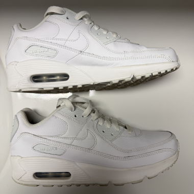 Nike Air Max Sneaker