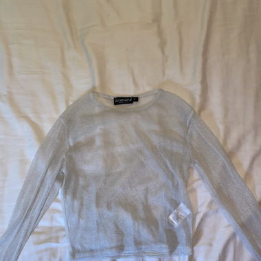 Silver Mesh Top