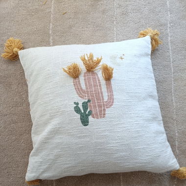 Coussin décoratif 