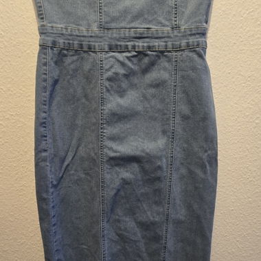 ZEBRA Denim Bustier Dress