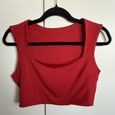 Red crop top
