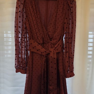 Bordeaux dress Zara