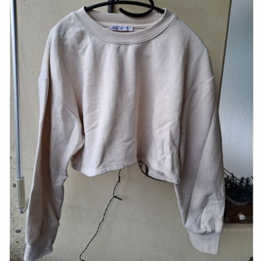 cropped sweatshirt