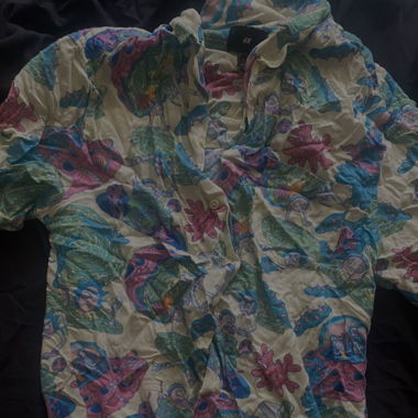 Camicia rick & morty