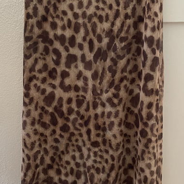 Zara Leo Skirt