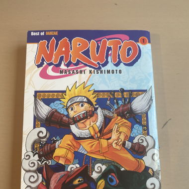Naruto Manga Band 1