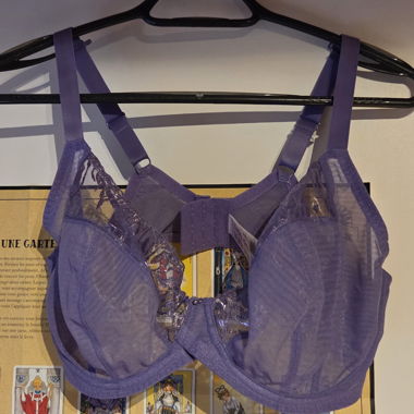 Curvy Kate Purple Bra