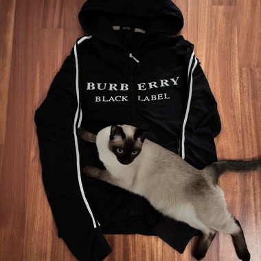 Burberry Black Label Hoodie (JP-exklusiv)