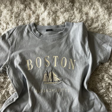 Blue Boston crop top