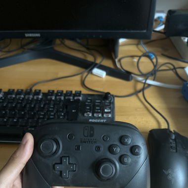 Nintendo Switch Pro Controller