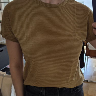 Merino Shirt - icebreaker