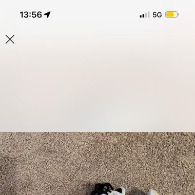 Nike Air max 95 fish scales